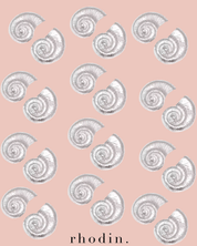 RC Seashell Silver Statement earrings