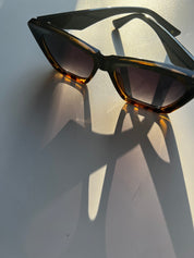 50 Beach Sunglasses - Classic Collection
