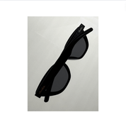RC BLACKBIRD WING SUNGLASSES SAMPLE