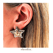 RC Two Tone Star Earrings